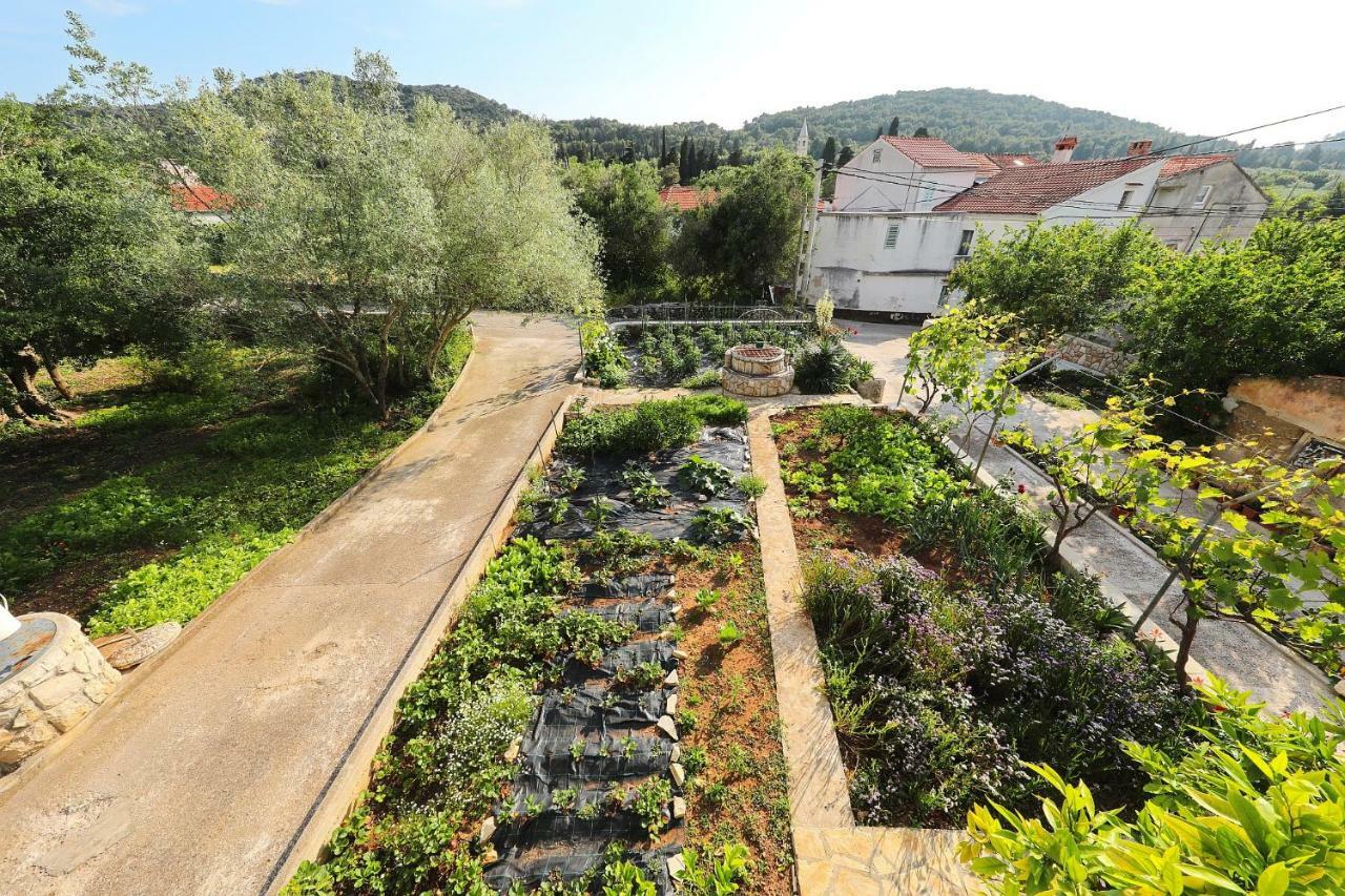 Senkini Dvori Sutomiscica Exterior foto
